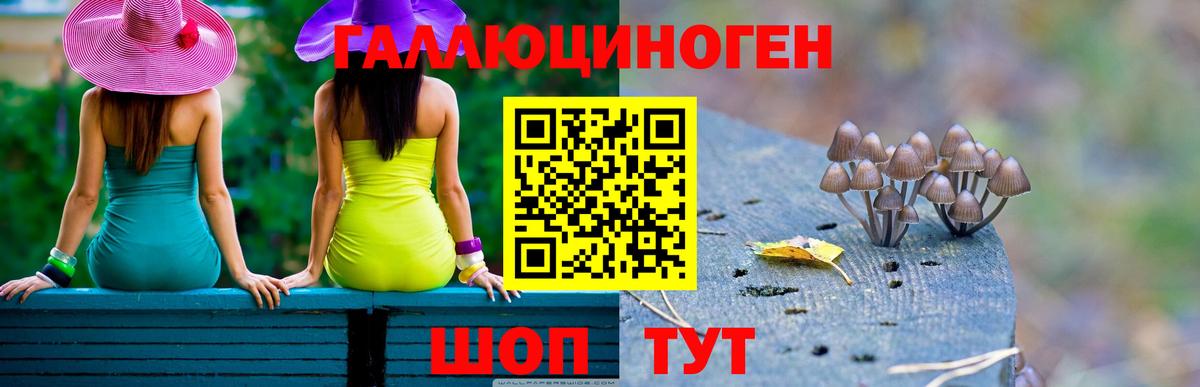 Псилоцибиновые грибы MAGIC MUSHROOMS Балашов